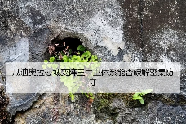 gua-di-ao-la-man-cheng-bian-zhen-san-zhong-wei-ti-xi-neng-fou-po-jie-mi-ji-fang-shou-2-410.jpg