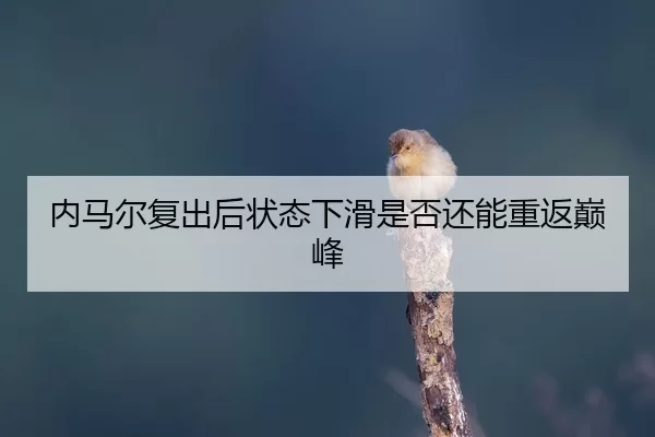 nei-ma-er-fu-chu-hou-zhuang-tai-xia-hua-shi-fou-hai-neng-chong-fan-dian-feng-2-493.jpg
