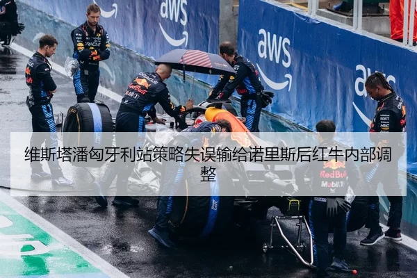 维斯塔潘匈牙利站策略失误输给诺里斯后红牛内部调整